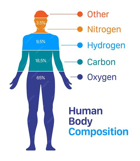 body chemistry 